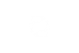Orca logo